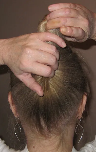 Frizura héj felső 10 frizura lépésről lépésre (fotó)