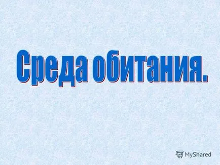 Előadás a környezet (környezet) minden, ami körülvesz az élő szervezetben (élőhely (környezeti) mindent) Előadás a környezet (környezet) minden, ami körülvesz az élő szervezetben