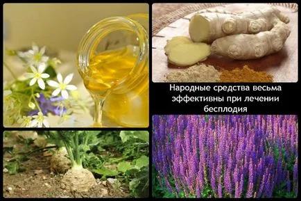Oka a férfi meddőség kezelésére és megelőzésére video (kezelés) Oka a férfi meddőség kezelésében és megelőzésében videó