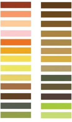 Color Pszichológia érzelmi színhatások (egyes társadalmakban, kultúrákban) Color Pszichológia érzelmi hatásait szín