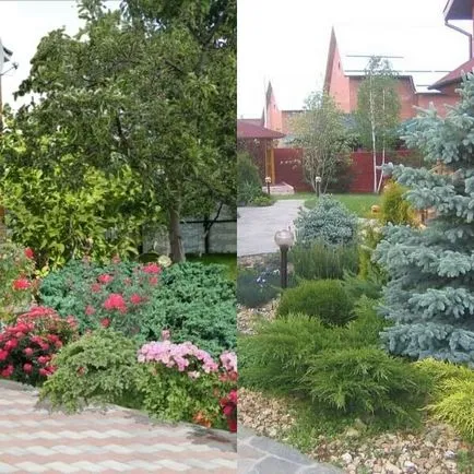 Rabatki a fotó a kezét, a rendszer, a főbb