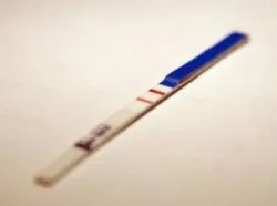 A reakciót a férfi a terhesség, a helyszínen, a szülők számára (a szülők) A reakciót a férfi a terhesség, a helyszínen, a szülők számára