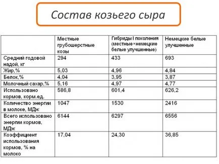 Recept koziego sajt otthon