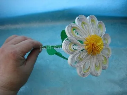 Százszorszépek Quilling technikák