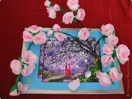 Sakura hogy odborka ország mesterek