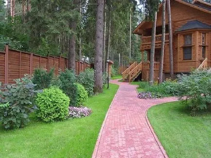 Kerti utak egy fa (35 fotó), táblák, kő, beton és műanyag burkolatot a kezével, a (fotó) Kerti utak egy fa (35 fotó), táblák, kő, beton és műanyag burkolatot a kezével, amit