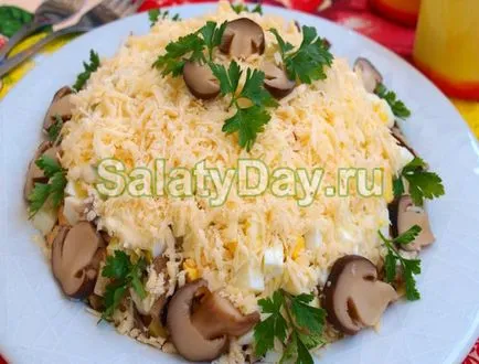 Csirke saláta gombával - ízletes és alkalmasak arra, hogy minden diéta recept fotókkal és videó