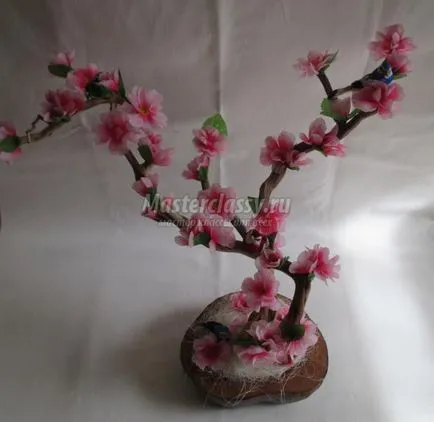 Sakura művirág
