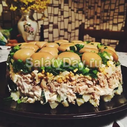 Saláta konzerv gomba - a szelíd őszi csók recept fotók és videó (konzerv) Saláta konzerv gomba - a szelíd őszi csók recept fotókkal és videó