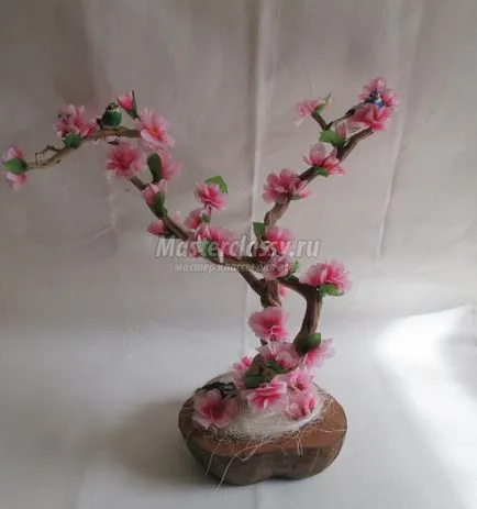 Sakura művirág
