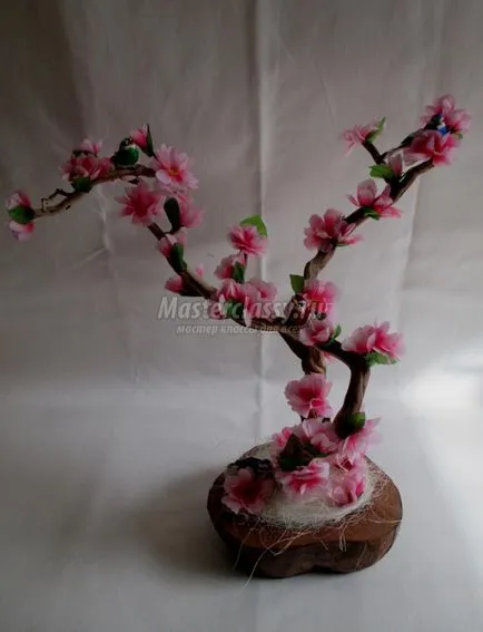 Sakura művirág