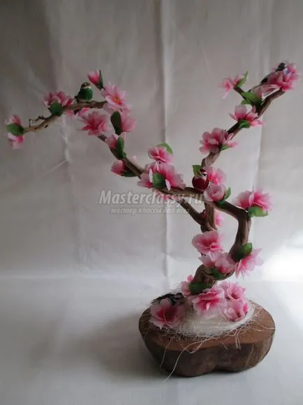 Sakura művirág