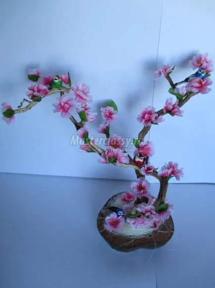 Sakura művirág