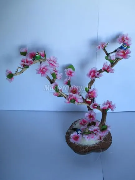 Sakura művirág