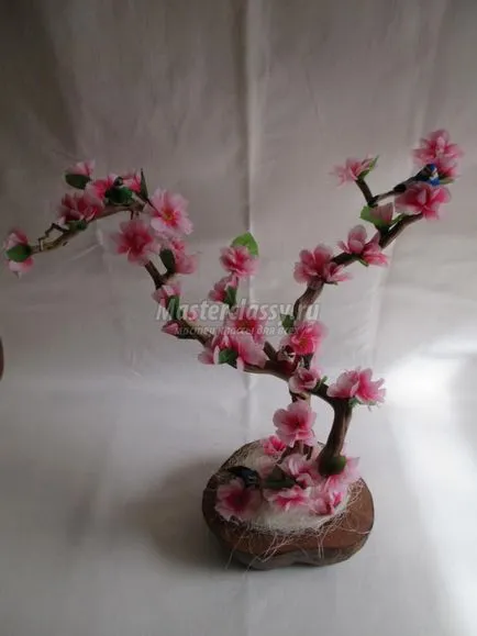 Sakura művirág