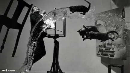 Salvador Dali és ocelot