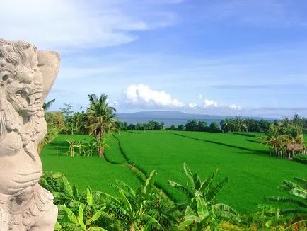 Független utazás Bali