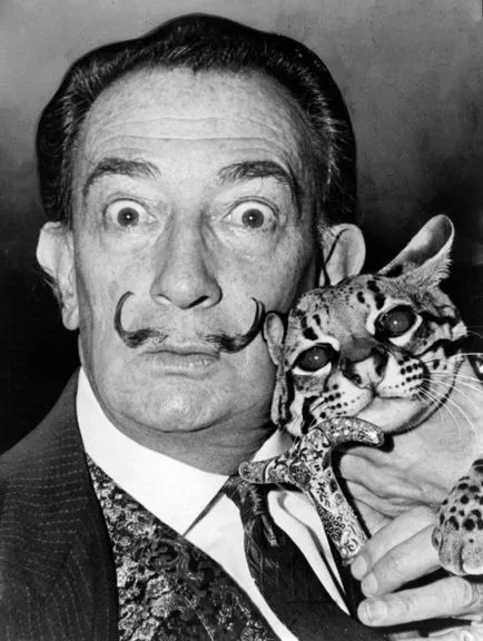 Salvador Dali és ocelot