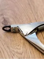 Caps kutyáknak