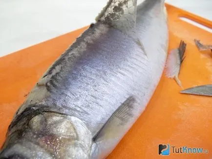 Hogyan tisztítható a hering