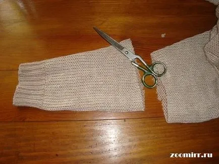Kalap kutyák, házi