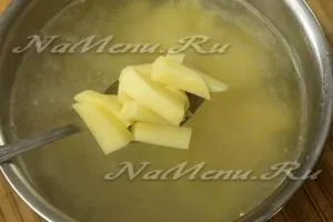Sí- friss káposzta, paradicsom és paprika, a recept (édes paprika) Káposztaleves friss káposzta, paradicsom és paprika, recept