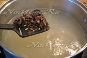 Sajt gombával, olvasztott sajttal recept (recept) Sajt gombával, egy recept olvasztott sajttal