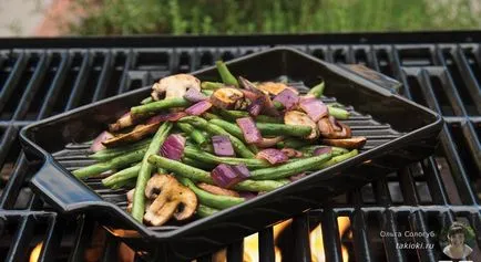 Pan-grill használat és mit kell választani a ház (választani) Pan-grill használat és mit kell választani a ház