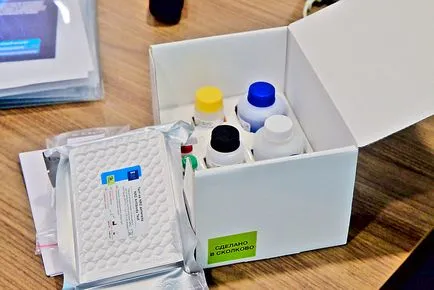 Skolkovo valódi eredményeket