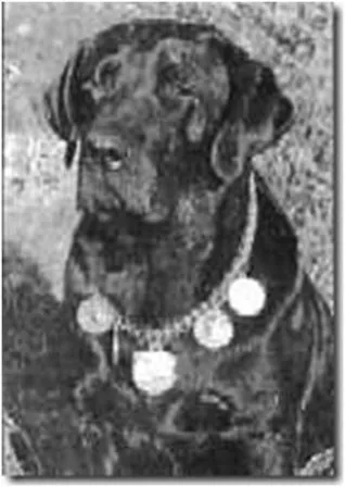 elnökök Dogs