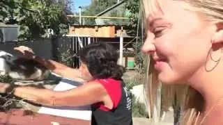 Karbantartás és ápolás a nyulak számára otthon