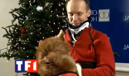 Kutya mentette férfi