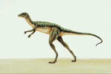 Hogyan alakult ki a dinoszauruszok
