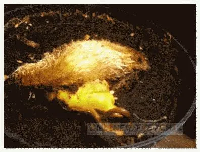 Mi nőnek mangó otthon