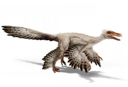 Hogyan alakult ki a dinoszauruszok