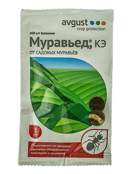 Azt jelenti, hangyász hangyák a kertben útmutató, az ár és a hatékonyság (hangyák) Azt jelenti, hangyász hangyák a kertben útmutató, az ár és a hatékonyság