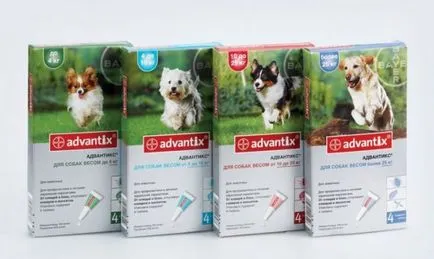 Remedy a kullancsok kutyák tabletták, cseppek vagy osheynki