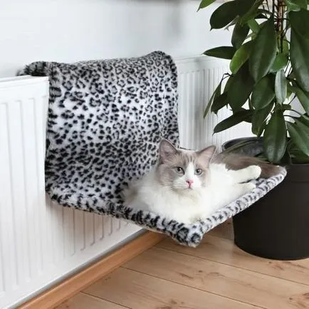 Ágy macskáknak saját kezét, és az áramkör, fotó és videó műhelyek