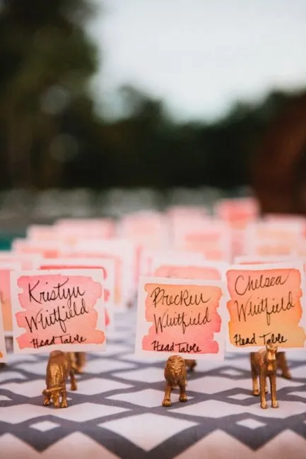 Esküvő egy barackszínű elrendezés, képek és tartozékok