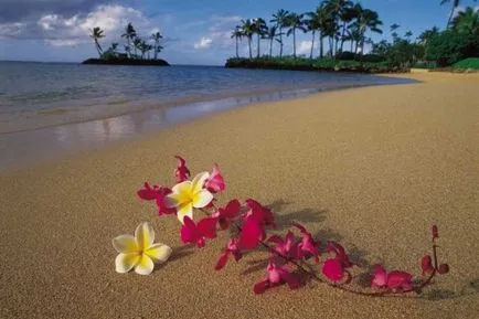 Forgatókönyv Hawaii party, kellék, menük, jelmezek, képek és videó