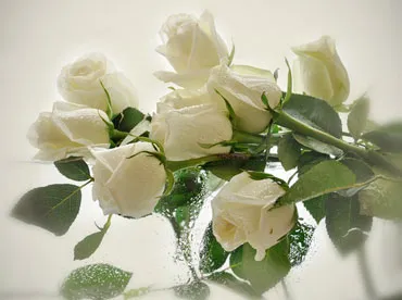 Udvarlási szokásokat napjainkban, és a szkript (vám) Udvarlási szokásokat napjainkban, és a szkript