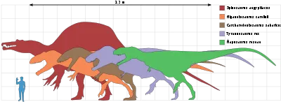 Tyrannosaurus - ez (Amerika kréta időszak végén) Tyrannosaurus - ez