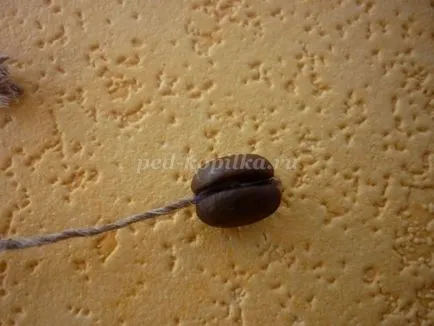 Műkertészeti kávébab
