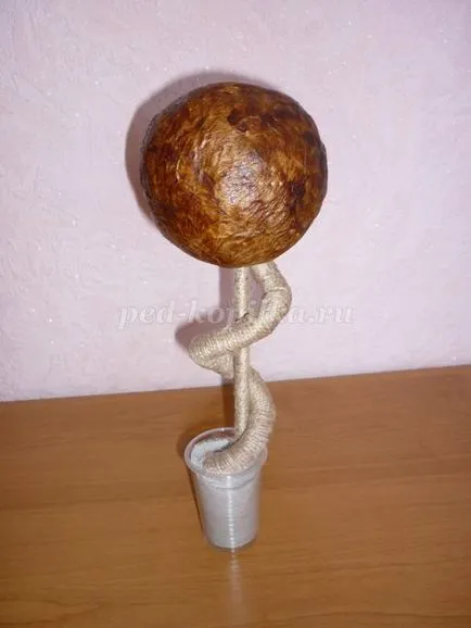 Műkertészeti kávébab