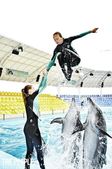 Edző delfinek Lena Komogorova felhasználásával delfinek - emberek (a delfinek) Edző delfinek Lena Komogorova felhasználásával delfinek - az emberek