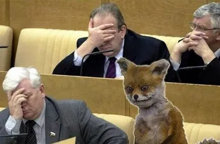 Uporotyh Fox „- az első palacsinta nem csomós (uporotyh) Uporotyh Fox „- az első palacsinta nem tarja