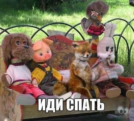 Uporotyh Fox „- az első palacsinta nem csomós (palacsinta) Uporotyh Fox „- az első palacsinta nem tarja