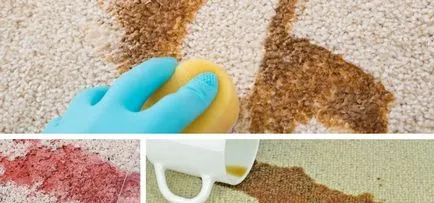 Vanish a szőnyegtisztító eljárás alkalmazásával egy utasítás kézi tisztítás (tisztítás) Vanish szőnyegtisztítás számára az alkalmazás módja utasítások kézi tisztítás