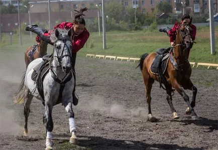 Típusai lovassport listáját és leírását a lovam (leírás) Típusai lovassport listáját és leírását lovam