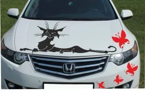 Vinyl matrica autó - fotó és videó a gyártás és a ragasztás